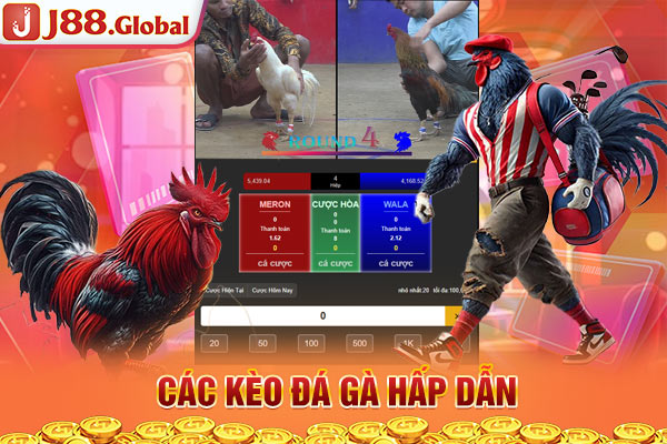 Các kèo đá gà hấp dẫn Các kèo đá gà hấp dẫn